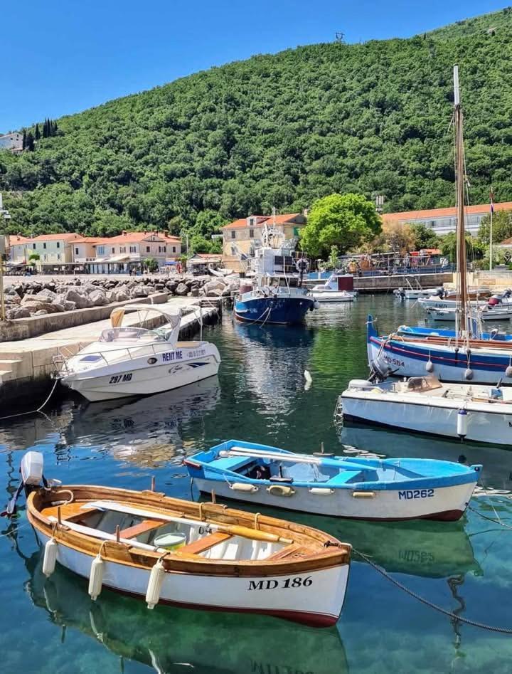 Apartments Blue & Green Mošćenička Draga Dış mekan fotoğraf