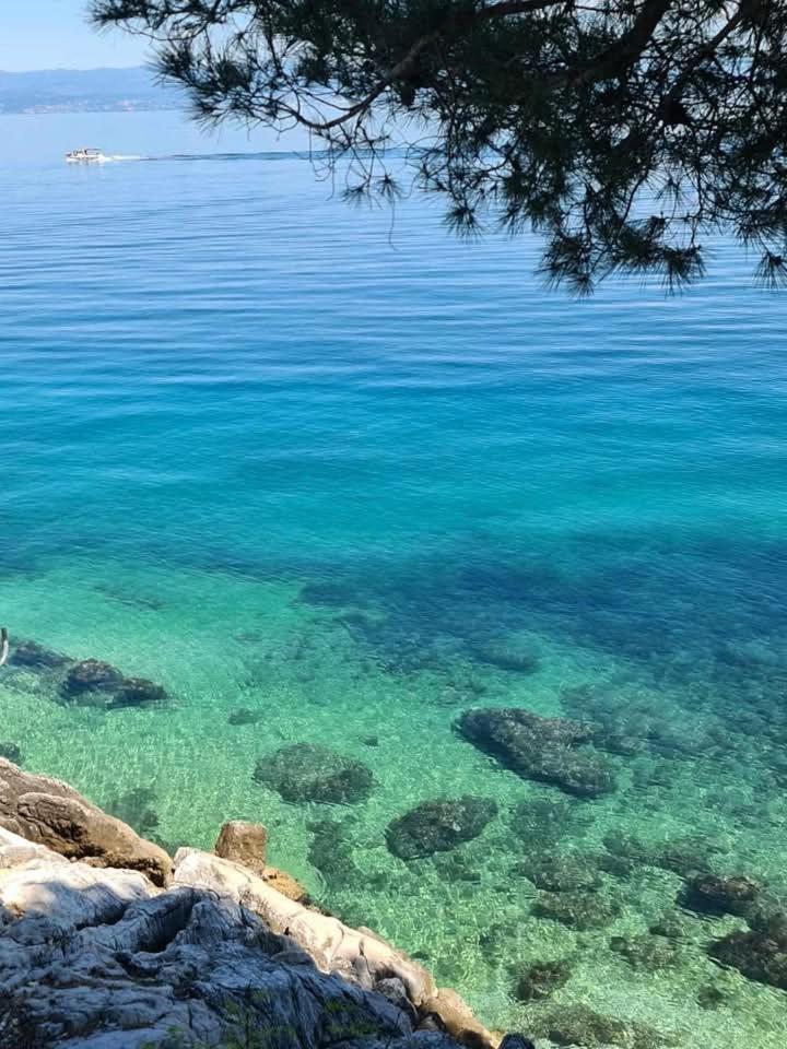 Apartments Blue & Green Mošćenička Draga Dış mekan fotoğraf